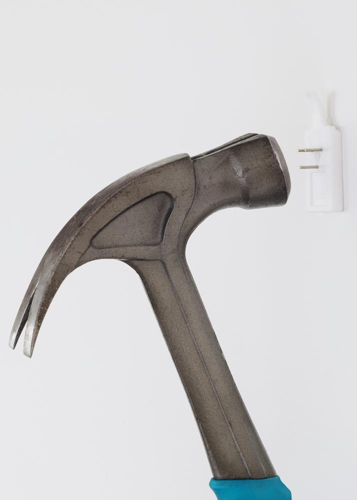 ID Factory XG - 138 Bilderhaken für jede Wand - BGA Bilderhaken 2-p