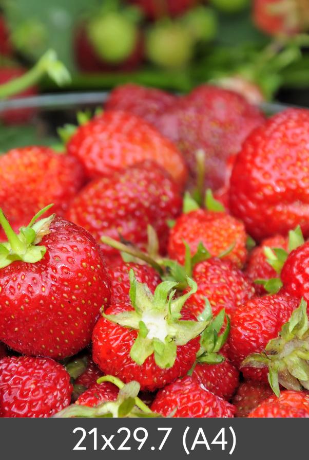 Egen tillverkning - Kundbild Vergrößerung Standard Photo Glossy 290 g