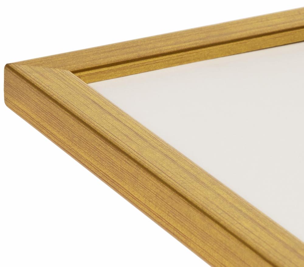 Galleri 1 Rahmen Frame Gold Acrylglass 50x70 cm