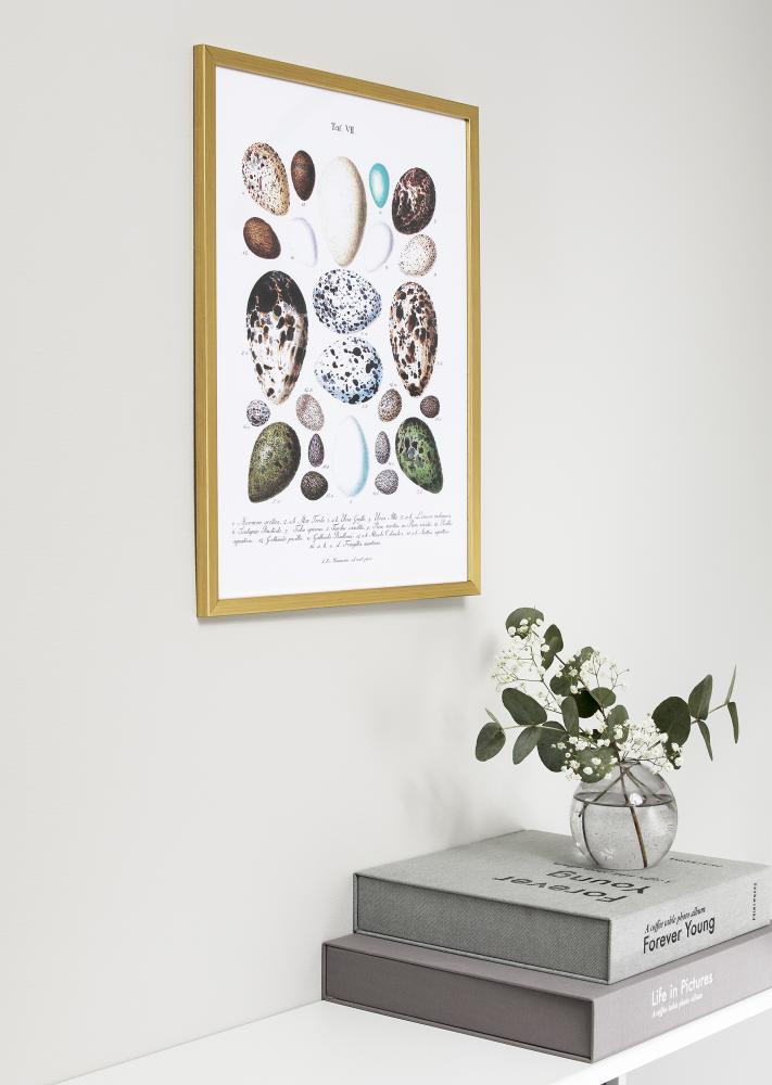 Galleri 1 Rahmen Frame Gold Acrylglass 50x70 cm