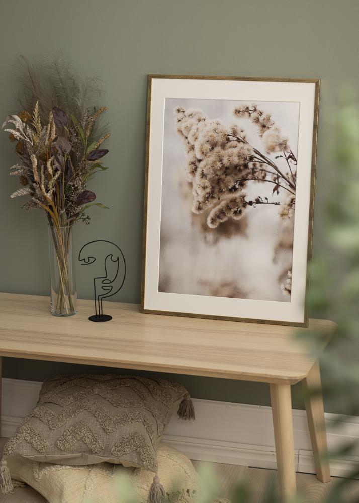 Estancia Rahmen Galant Acrylglas Gold 50x70 cm