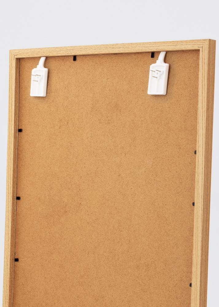 ID Factory XG - 138 Bilderhaken für jede Wand - BGA Bilderhaken 2-p