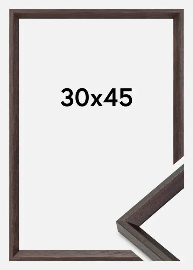 Galleri 1 Rahmen Globe Acrylglas Espresso 30x45 cm