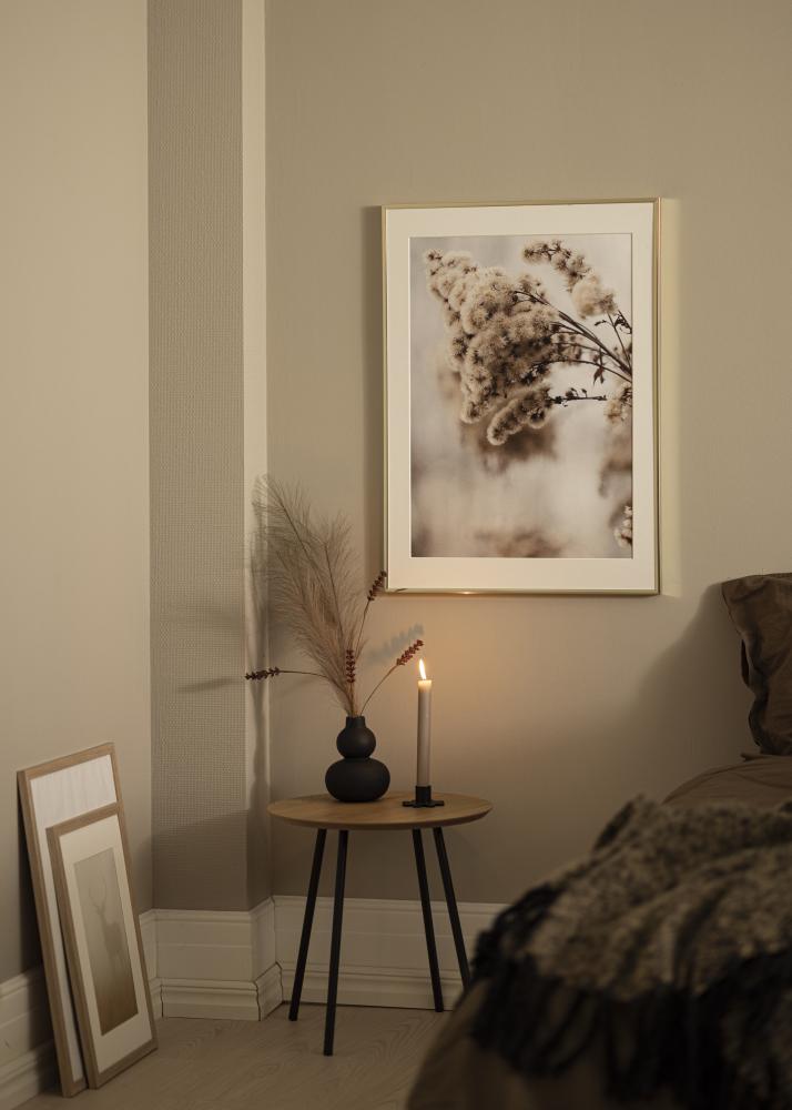 Estancia Rahmen Aluminium Acrylglas Gold Glänzend 50x70 cm