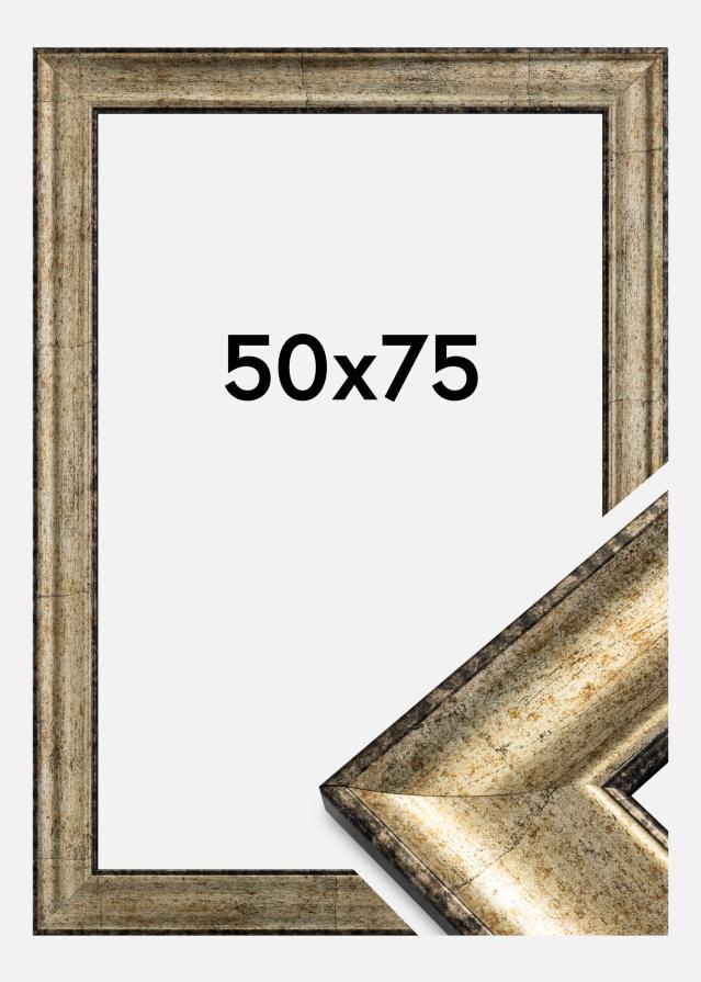 Galleri 1 Rahmen Saltsjöbaden Acrylglas Antik-Gold 50x75 cm