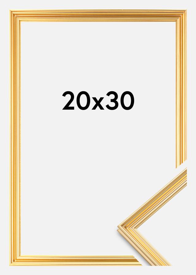 Focus Rahmen Verona Gold 20x30 cm