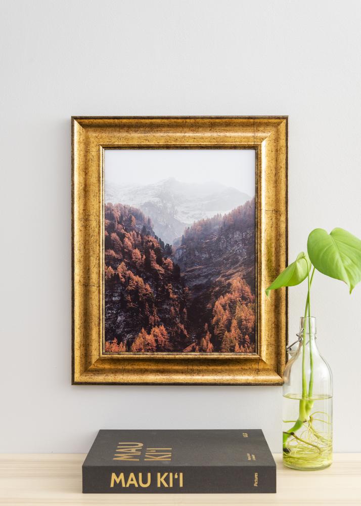 Galleri 1 Rahmen Saltsjöbaden Gold  50x60 cm