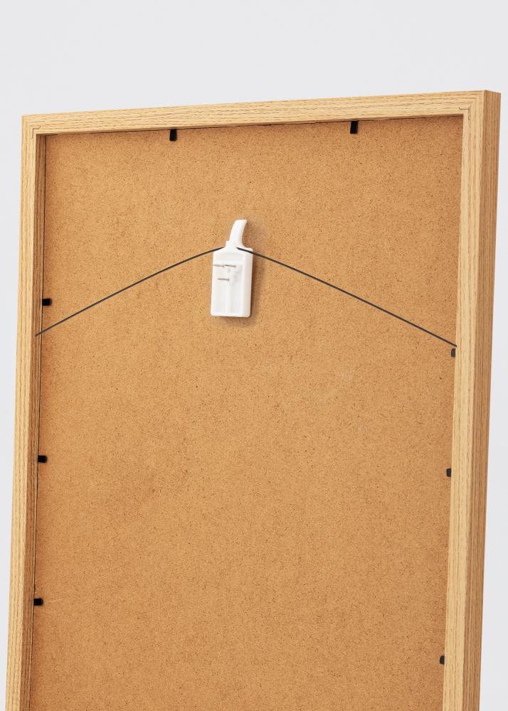 ID Factory XG - 138 Bilderhaken für jede Wand - BGA Bilderhaken 2-p