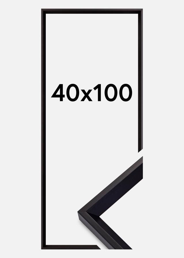 Galleri 1 Rahmen Globe Acrylglas Schwarz 40x100 cm