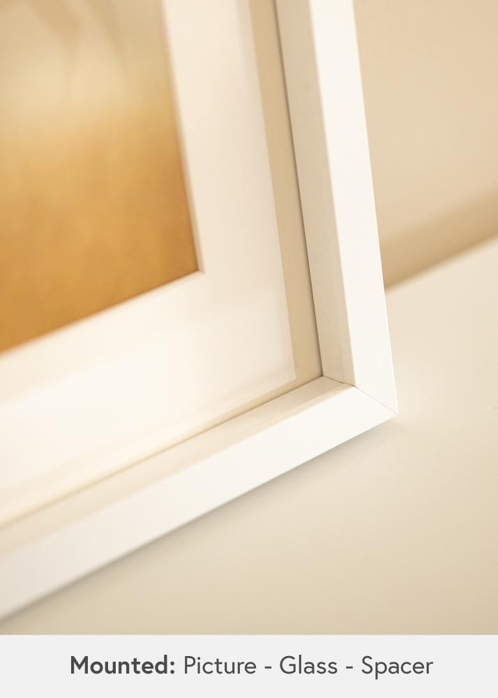 BGA BGA Objektrahmen Acrylglas Weiß 40x60 cm