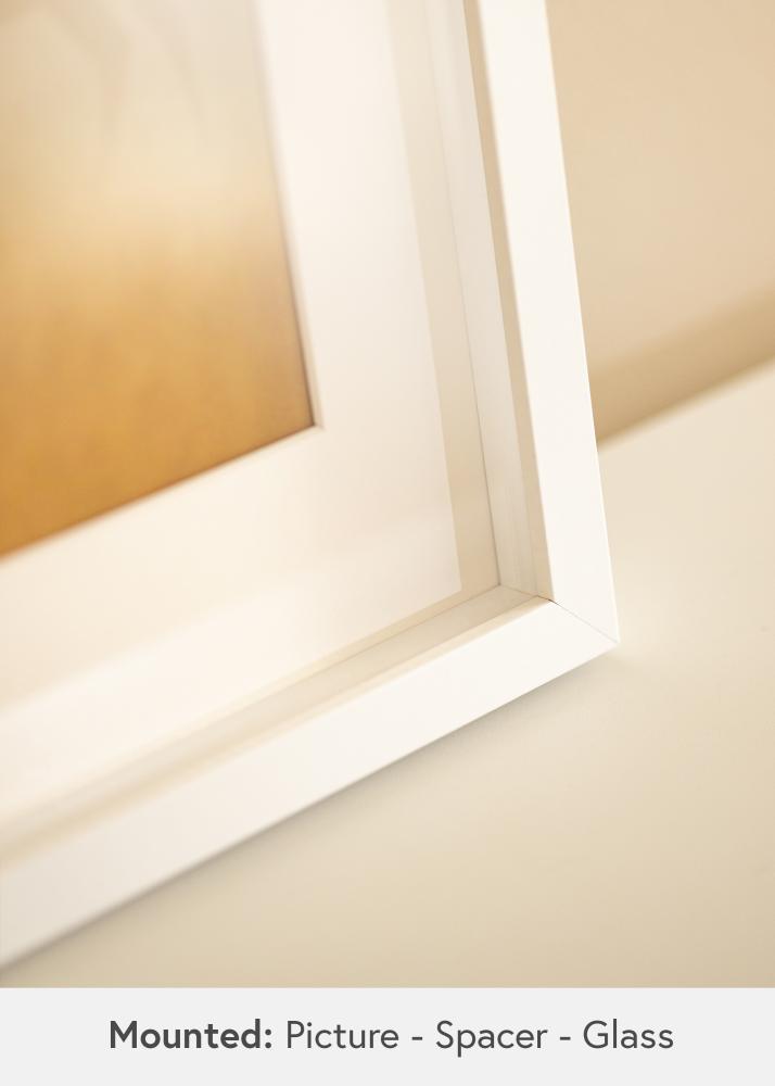 BGA BGA Objektrahmen Acrylglas Weiß 40x60 cm