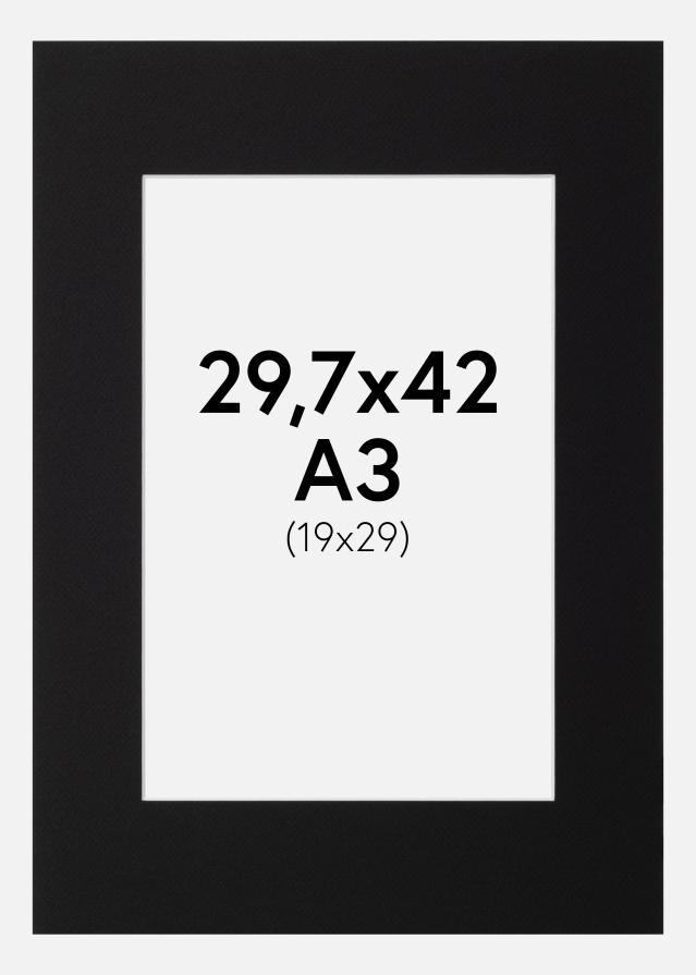 Galleri 1 Passepartout Canson Schwarz (weißer Kern) 29,7x42 cm (19x29)