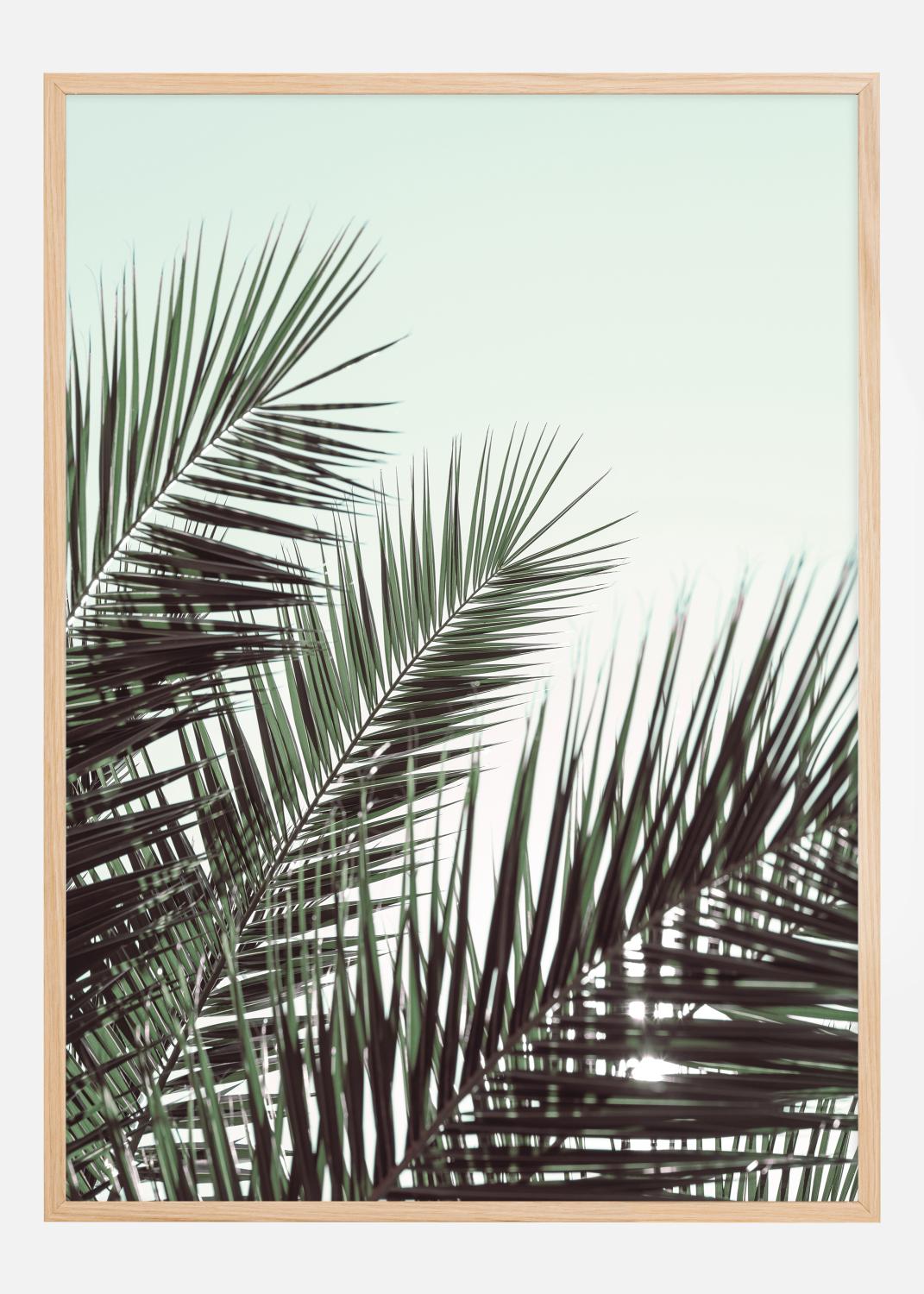 Product Image for Palm leaves sky Poster (50x70 cm)