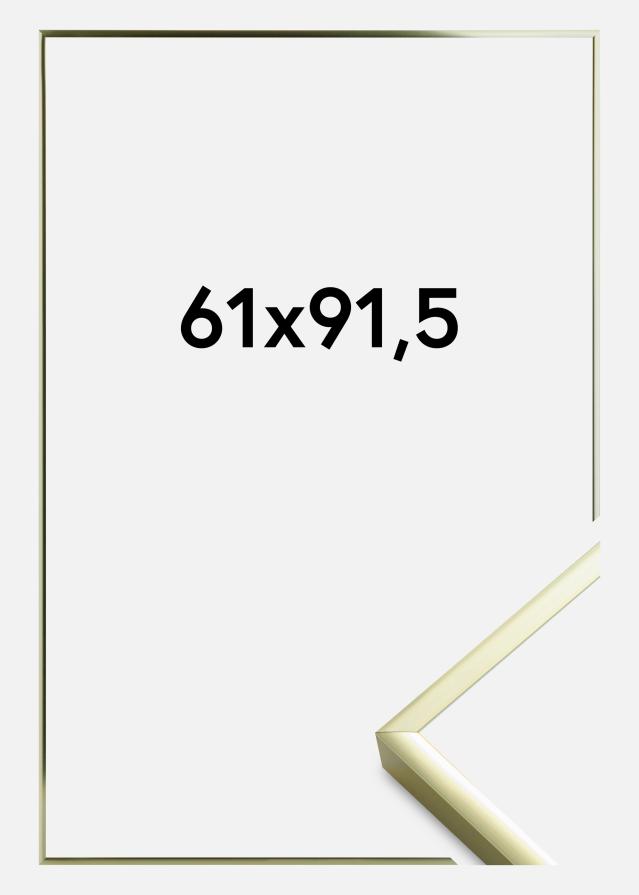 Artlink Rahmen Poster Frame Aluminum Acrylglass Gold 61x91,5 cm