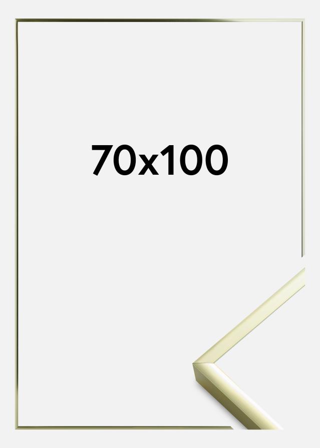 Artlink Rahmen Poster Frame Aluminum Acrylglass Gold 70x100 cm