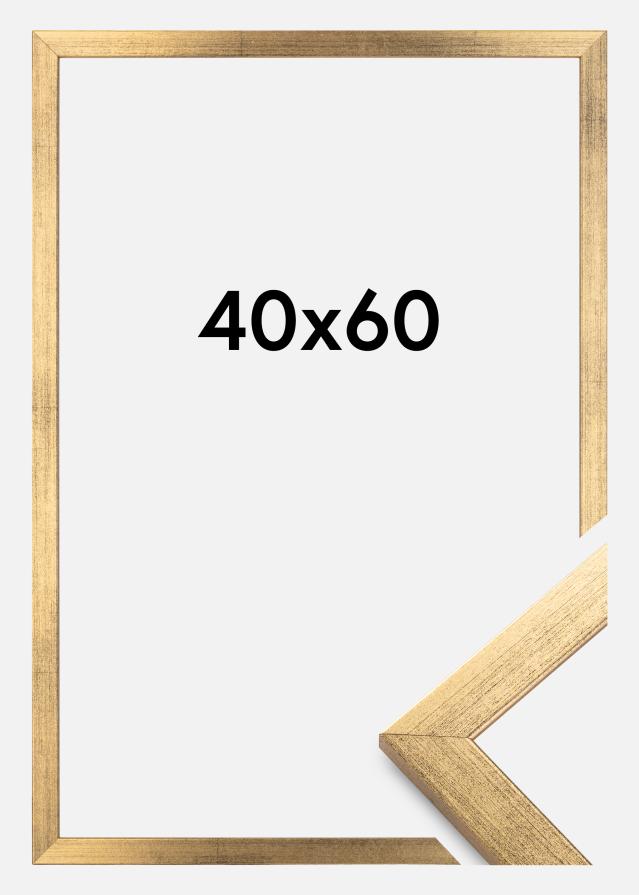 Estancia Rahmen Stilren Acrylglas Gold 40x60 cm