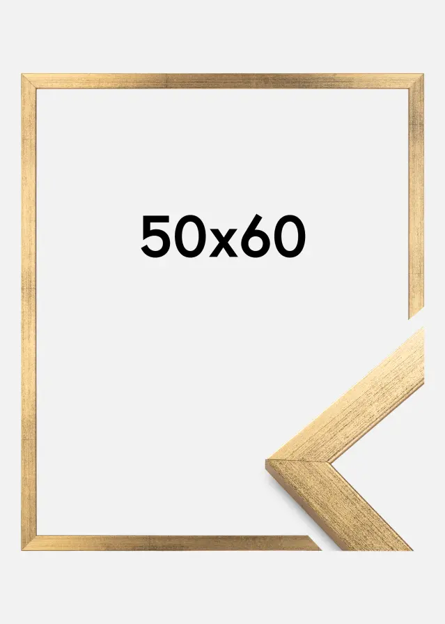 Estancia Rahmen Stilren Acrylglas Gold 50x60 cm