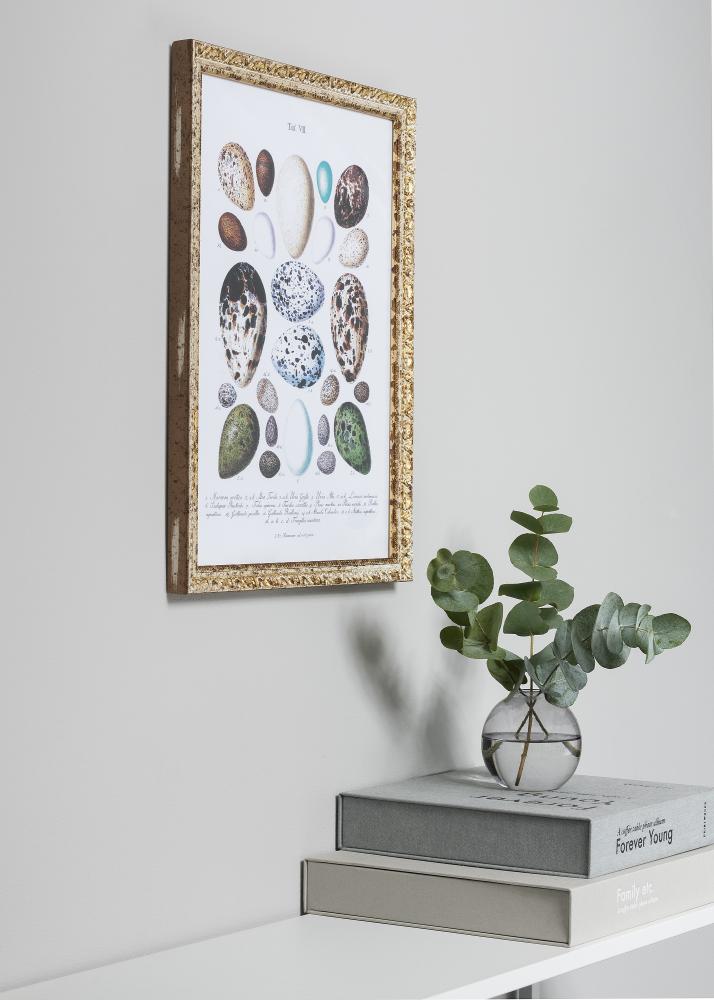 Bubola e Naibo Rahmen Smith Gold-Silber 25x35 cm