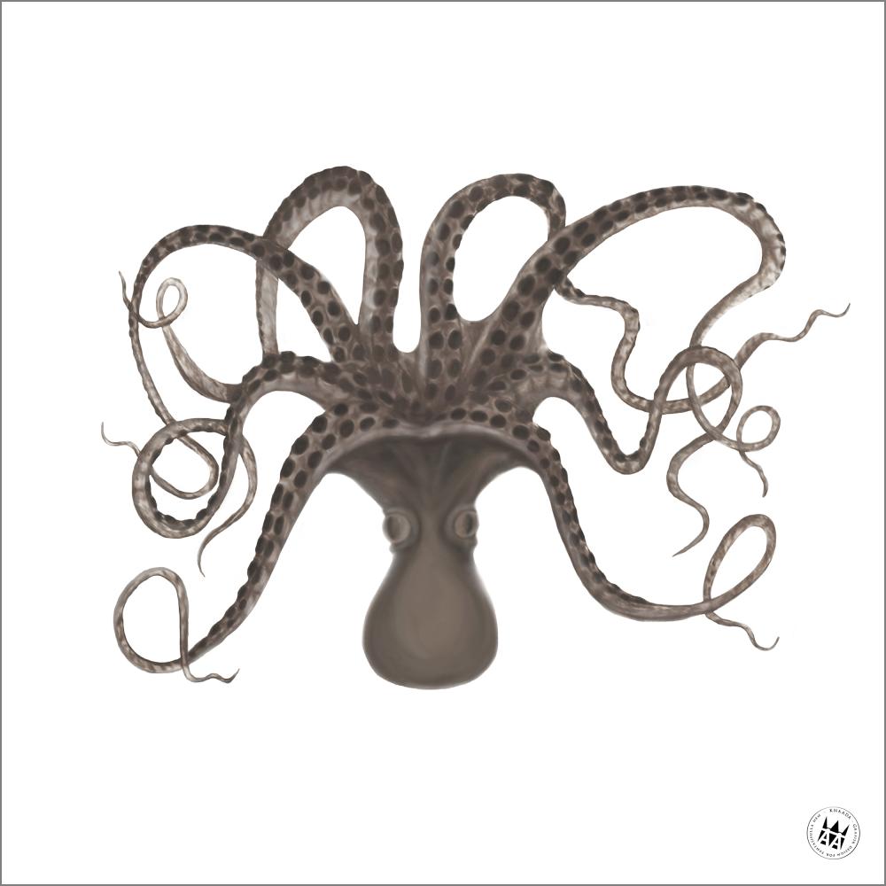 Knaada AB Knaada - Tintenfisch - 50x50 cm