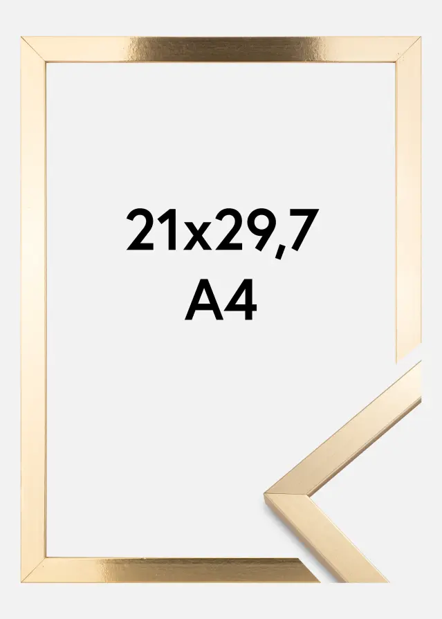 BGA Rahmen Trendy Gold 21x29,7 cm (A4)