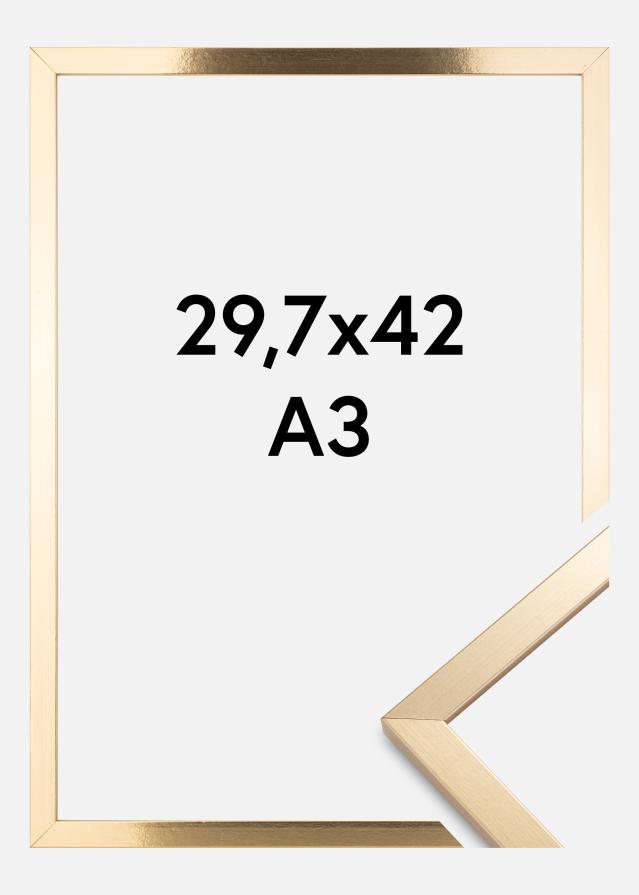 BGA Rahmen Trendy Gold 29,7x42 cm (A3)