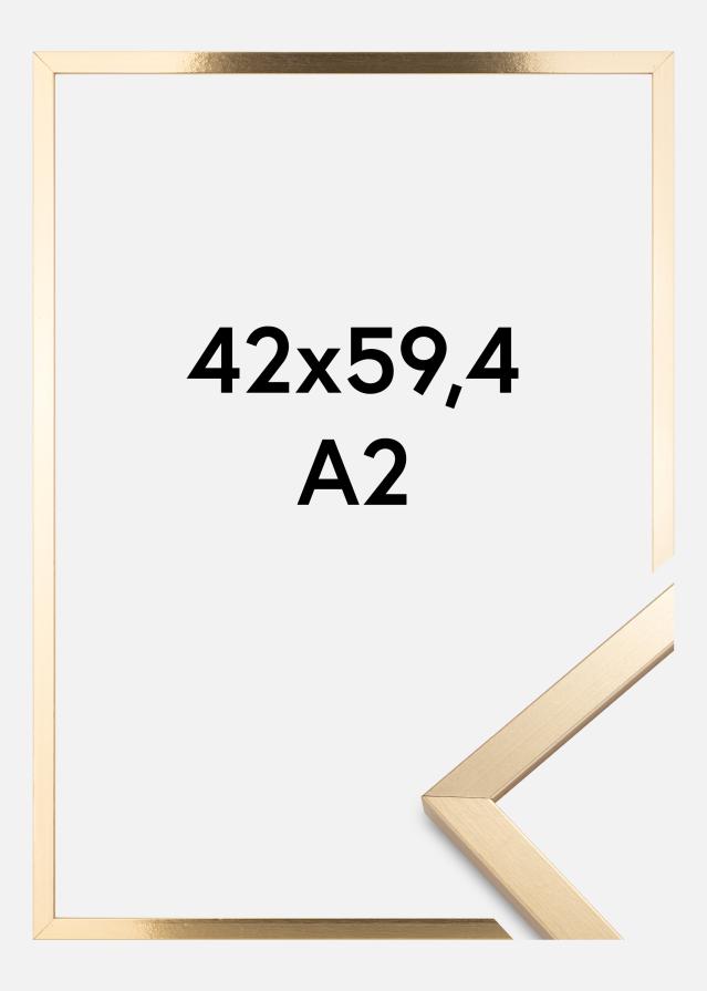 BGA Rahmen Trendy Gold 42x59,4 cm (A2)