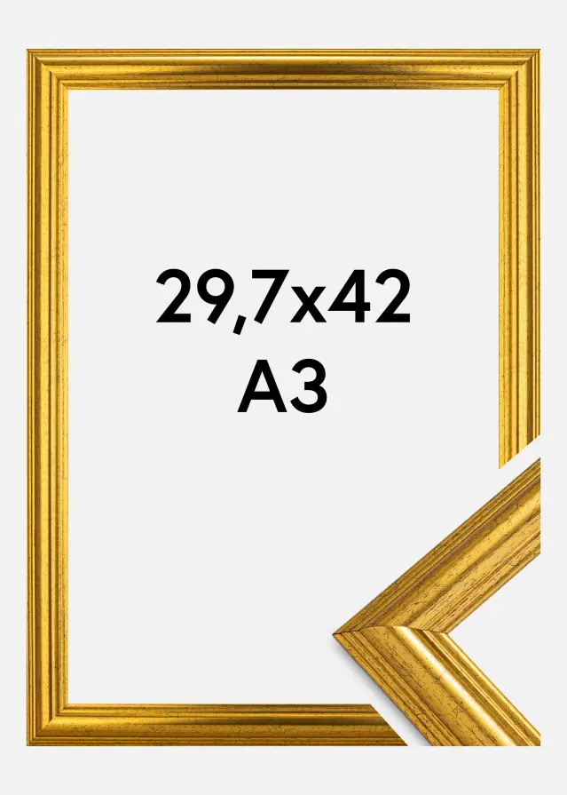 Innova Rahmen Västkusten Acrylglas Gold 29,7x42 cm (A3)