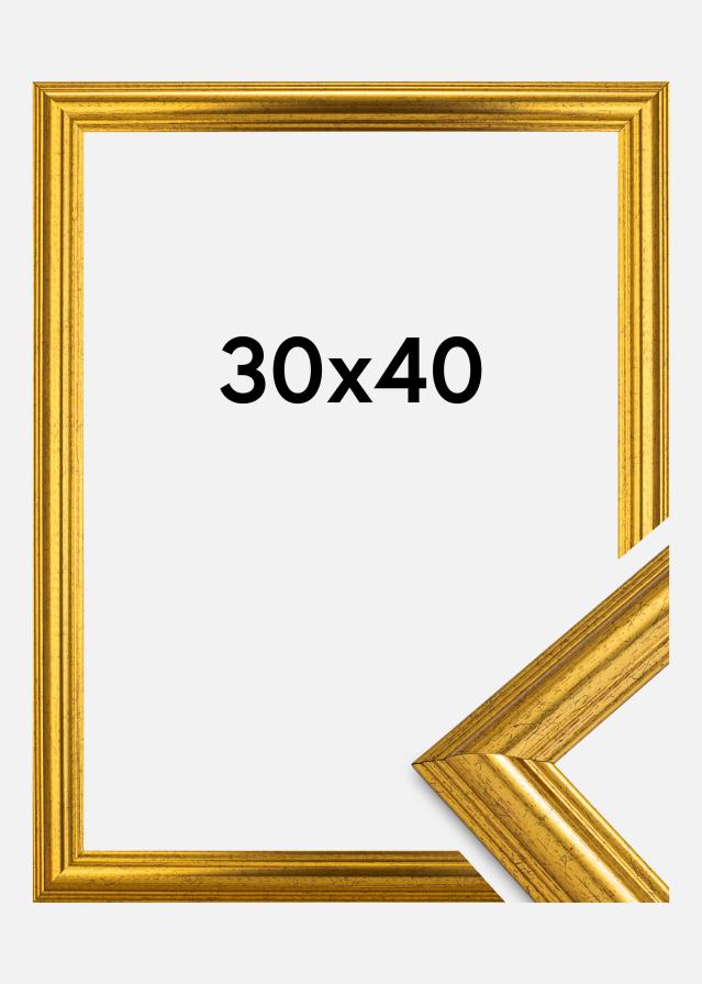 Innova Rahmen Västkusten Gold 30x40 cm
