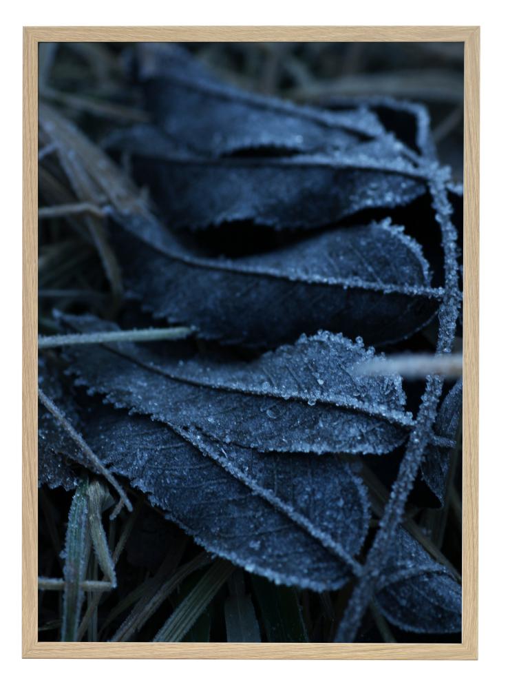 One Must Dash One Must Dash - Frost - 30x40 cm