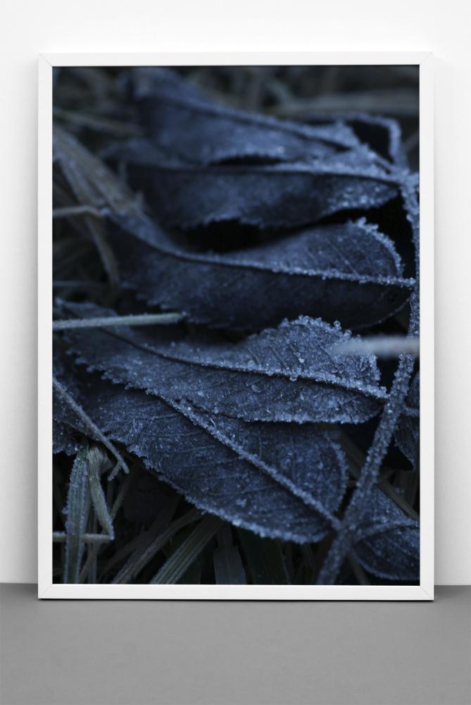 One Must Dash One Must Dash - Frost - 30x40 cm