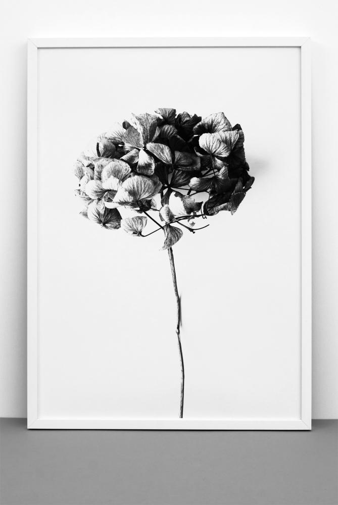 One Must Dash One Must Dash - Honey Honey - 50x70 cm