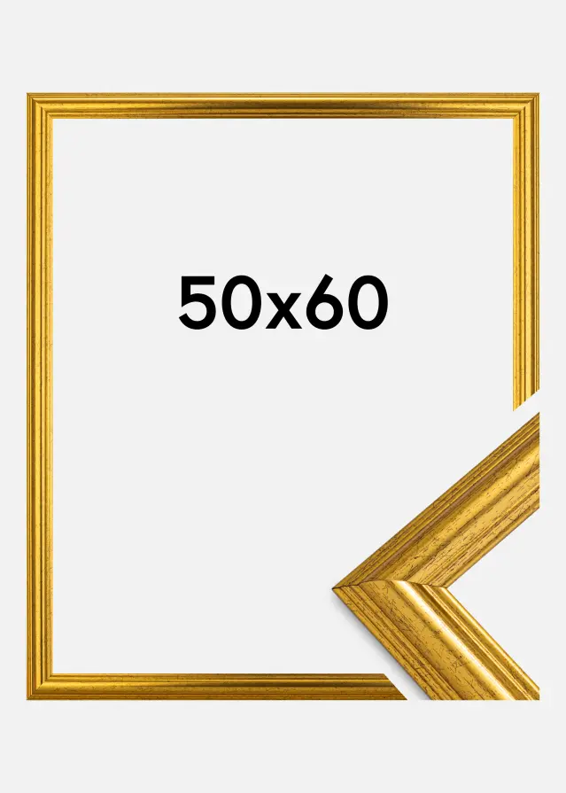 Galleri 1 Rahmen Västkusten Acrylglas Gold 50x60 cm