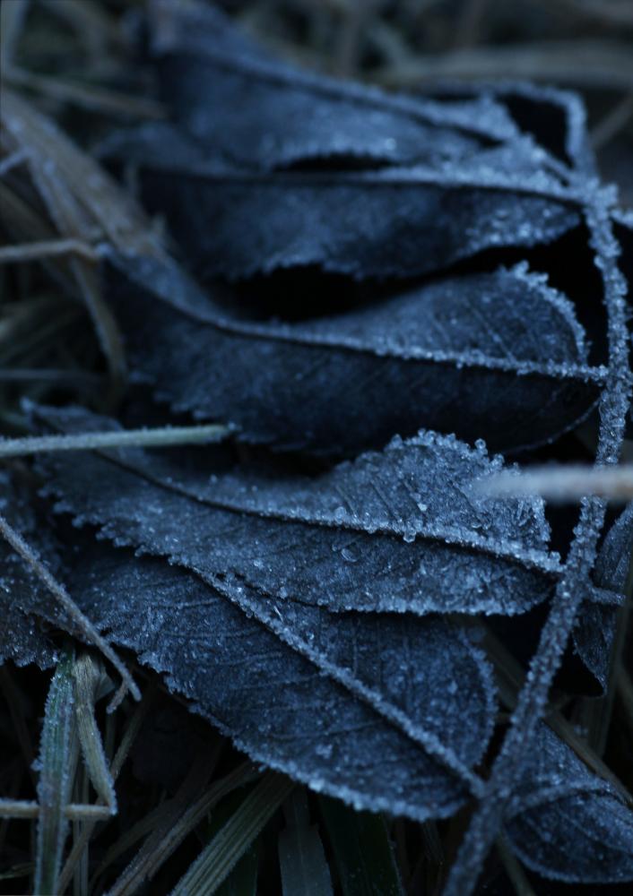 One Must Dash One Must Dash - Frost - 30x40 cm