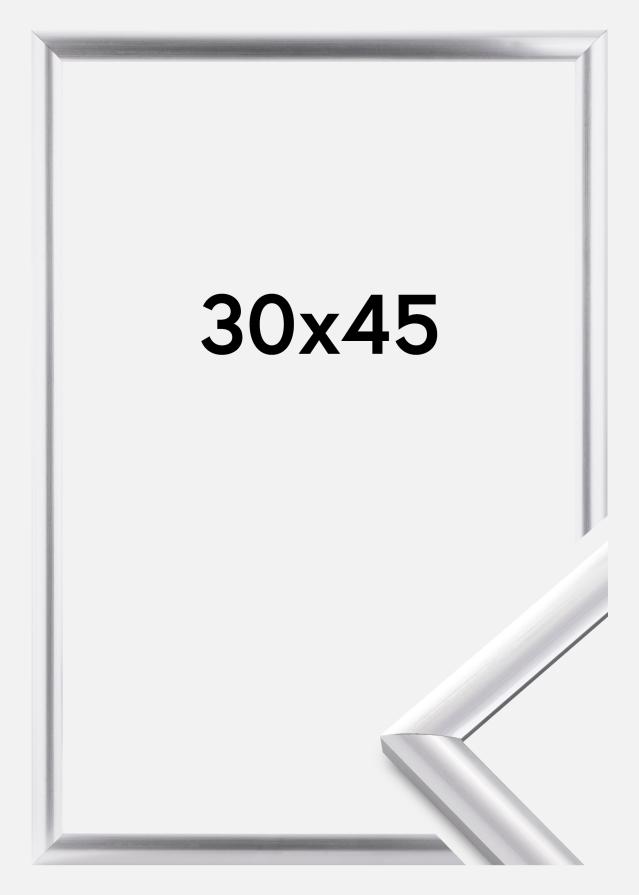 Walther Rahmen Trendstyle Silber 30x45 cm