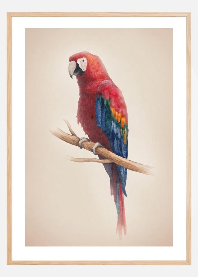 Bildverkstad Tropical Parrot Poster