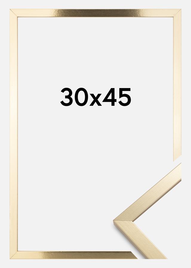 BGA Rahmen Trendy Acrylglas Gold 30x45 cm