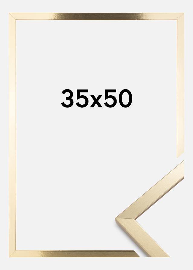 BGA Rahmen Trendy Acrylglas Gold 35x50 cm