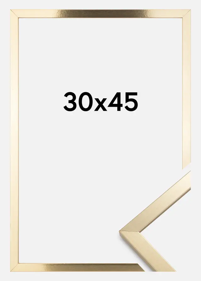 BGA Rahmen Trendy Acrylglas Gold 30x45 cm