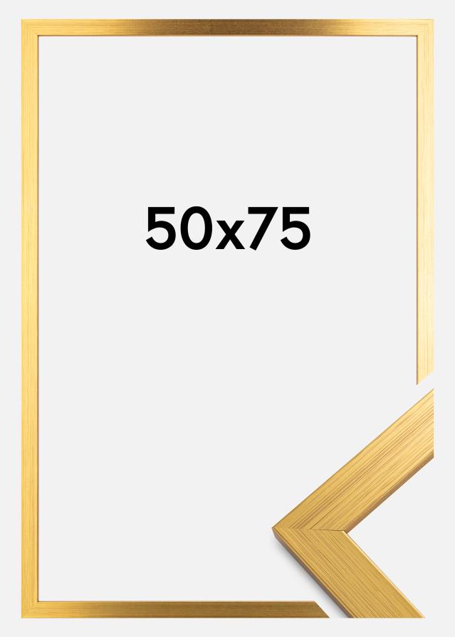 Galleri 1 Rahmen Gold Wood Acrylglas 50x75 cm