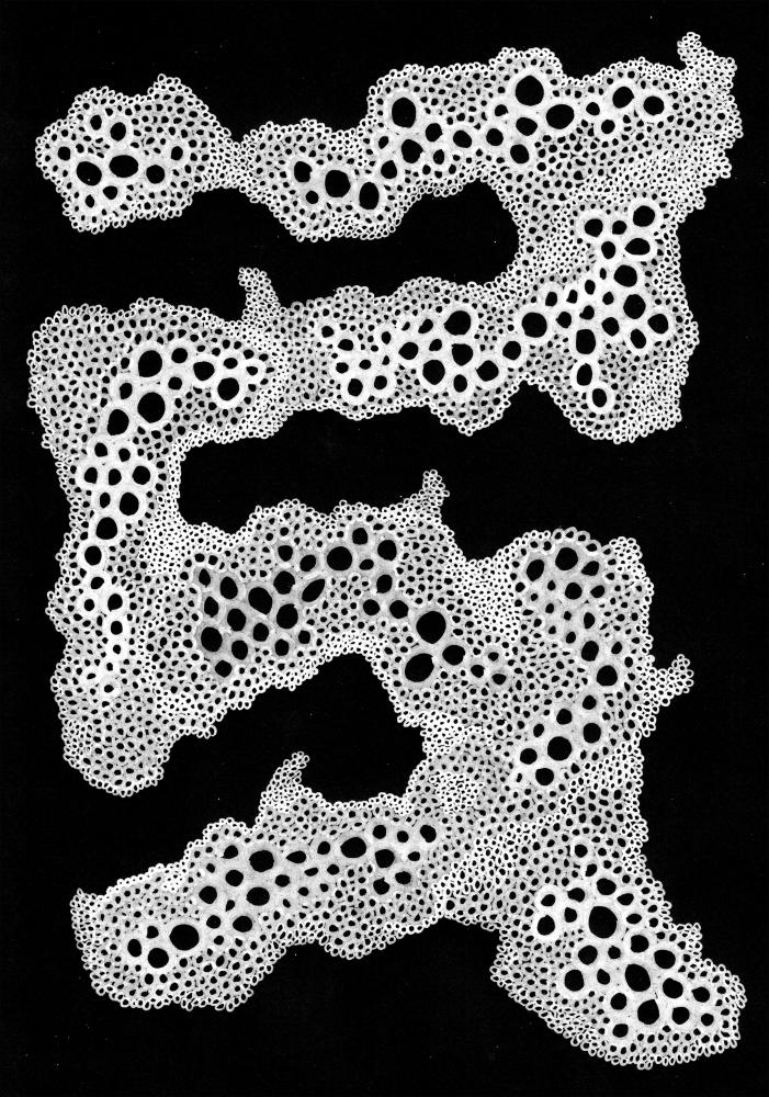 Bildverkstad BUBBLESBLACK Poster