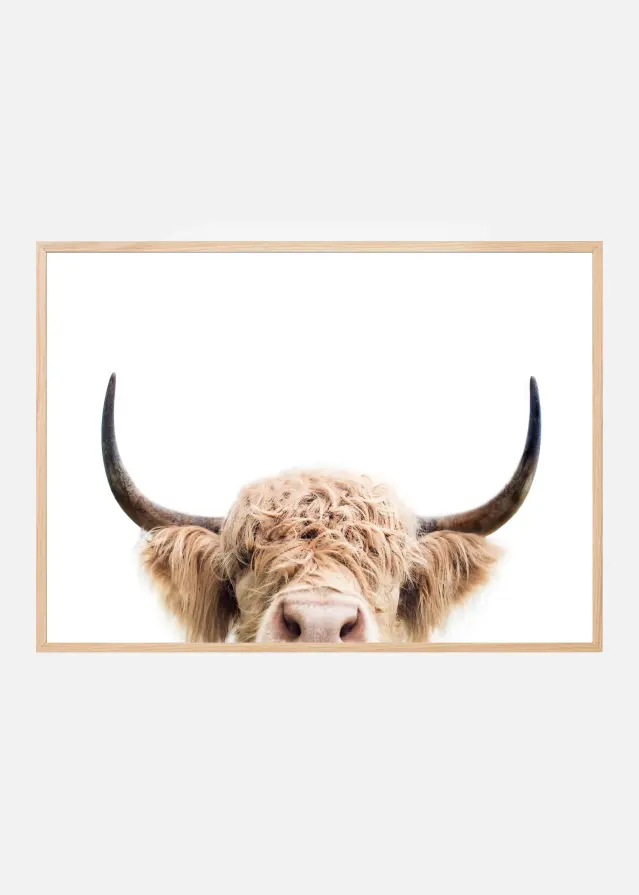 Bildverkstad Peeking Cow Poster