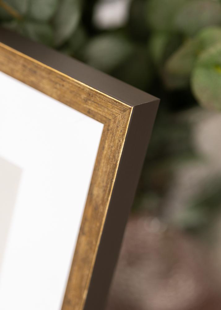 Jämtlands Ramfabrik Rahmen Dune Acrylglas Gold 21x29,7 cm (A4)