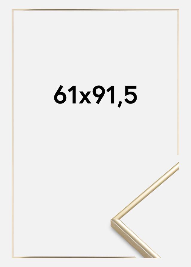 Estancia Rahmen Visby Acrylglas Gold Glänzend 61x91,5 cm