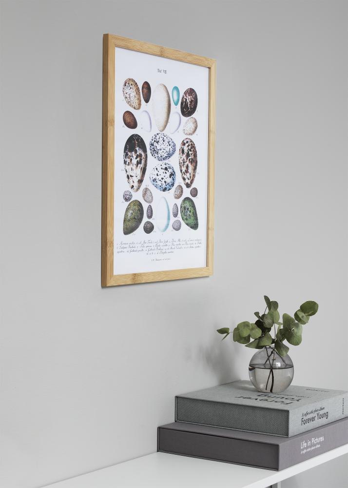 Hoei Danmark Rahmen Hoei Bambus Acrylglas 70x100 cm