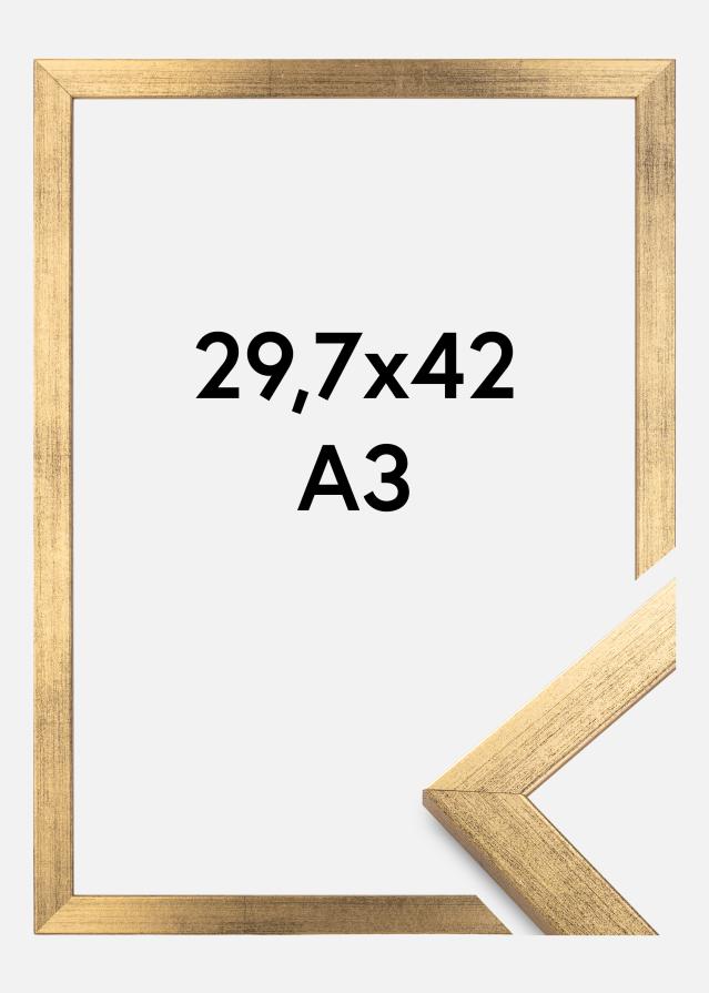 Estancia Rahmen Stilren Acrylglas Gold 29,7x42 cm (A3)