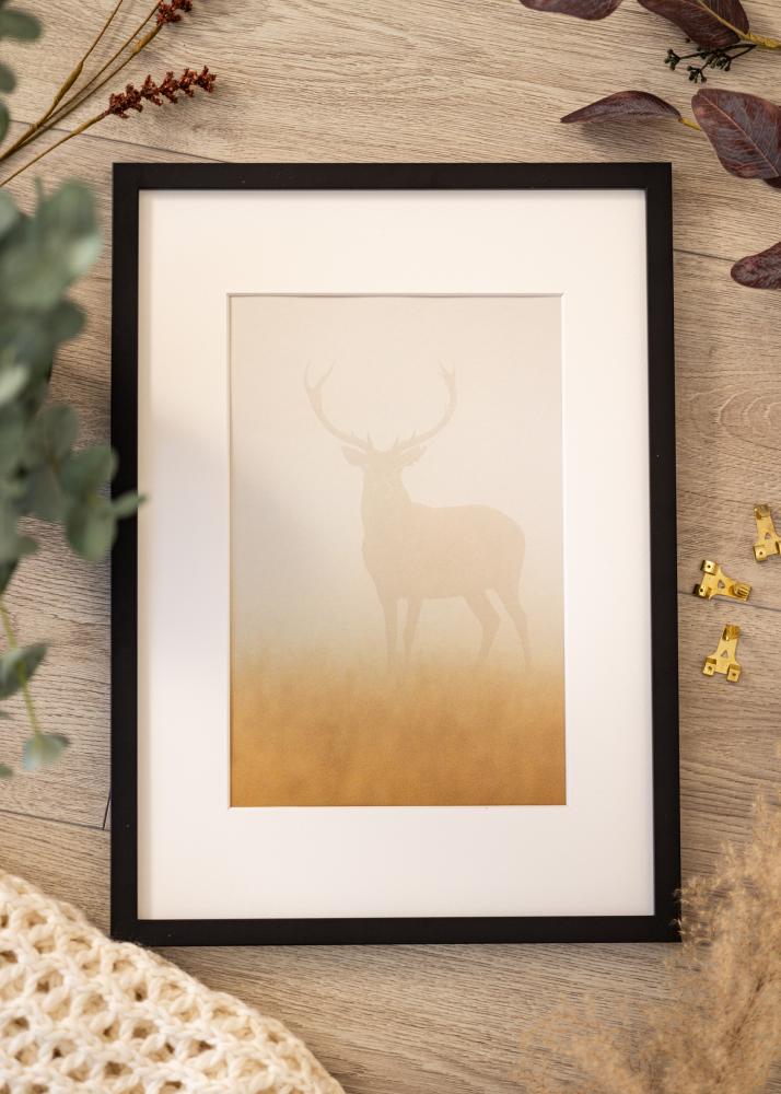 BGA Rahmen Modern Acrylglas Schwarz 50x70 cm