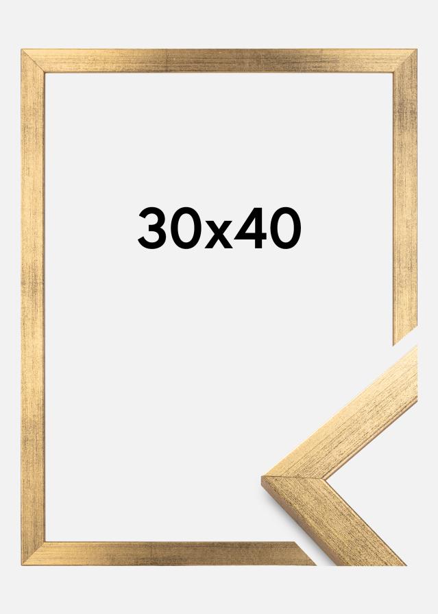 Estancia Rahmen Stilren Acrylglas Gold 30x40 cm