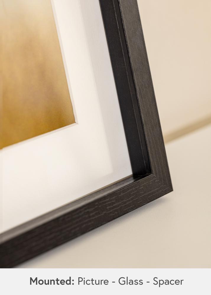 BGA BGA Objektrahmen Acrylglas Schwarz 50x100 cm