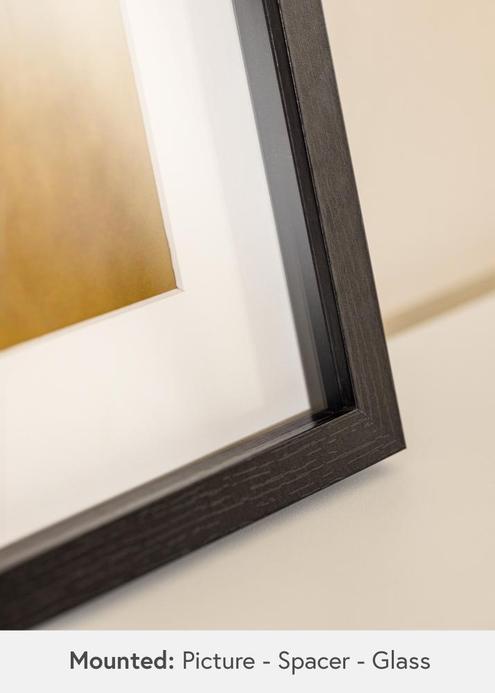 BGA BGA Objektrahmen Acrylglas Schwarz 50x100 cm