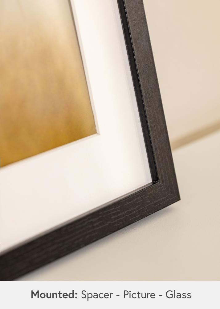 BGA BGA Objektrahmen Acrylglas Schwarz 50x100 cm